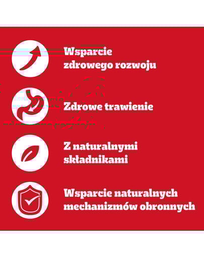 PEDIGREE Junior Wybór Smaków z ryżem saszetki 12x100 g mokra karma pełnoporcjowa dla szczeniąt, kawałki z mieszanką wołowiny i wątróbki i ryżem, z kurczakiem i ryżem, z mieszanką jagnięciny i wątróbki i ryżem, z drobiem i ryżem, w galaretce