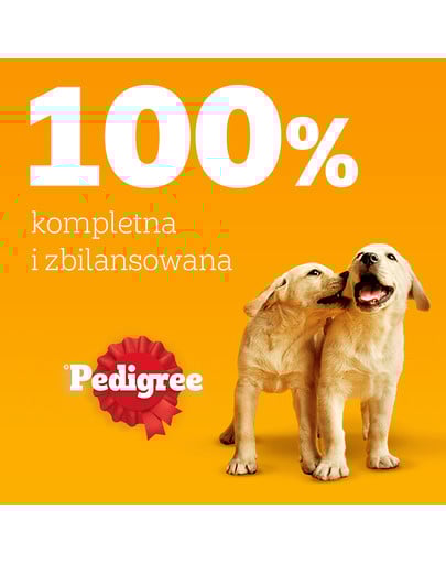 PEDIGREE Junior Wybór Smaków z ryżem saszetki 12x100 g mokra karma pełnoporcjowa dla szczeniąt, kawałki z mieszanką wołowiny i wątróbki i ryżem, z kurczakiem i ryżem, z mieszanką jagnięciny i wątróbki i ryżem, z drobiem i ryżem, w galaretce