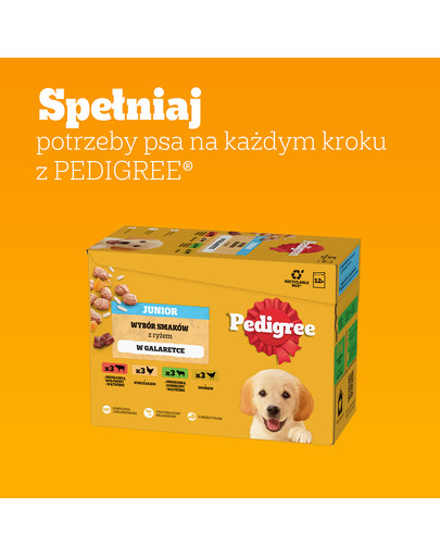 PEDIGREE Junior Wybór Smaków z ryżem saszetki 12x100 g mokra karma pełnoporcjowa dla szczeniąt, kawałki z mieszanką wołowiny i wątróbki i ryżem, z kurczakiem i ryżem, z mieszanką jagnięciny i wątróbki i ryżem, z drobiem i ryżem, w galaretce