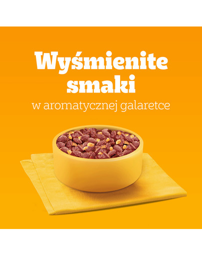 PEDIGREE Adult Wybór Smaków saszetki 40x100 g mokra karma pełnoporcjowa dla dorosłych psów, z mieszanką wołowiny i wątróbki, z kurczakiem, z rybą, z drobiem, w galaretce