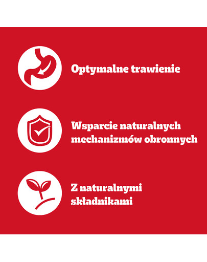 PEDIGREE Adult Wybór Smaków saszetki 40x100 g mokra karma pełnoporcjowa dla dorosłych psów, z mieszanką wołowiny i wątróbki, z kurczakiem, z rybą, z drobiem, w galaretce
