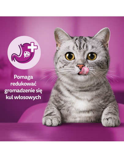 WHISKAS Anti-Hairball 50 g przysmaki odkłaczające dla dorosłych kotów