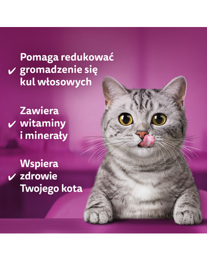 WHISKAS Anti-Hairball 50 g przysmaki odkłaczające dla dorosłych kotów