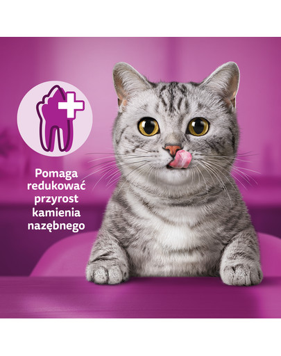 WHISKAS Dentabites 40 g dentystyczny przysmak dla dorosłych kotów