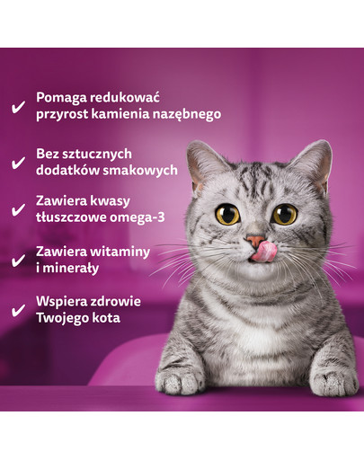 WHISKAS Dentabites 40 g dentystyczny przysmak dla dorosłych kotów