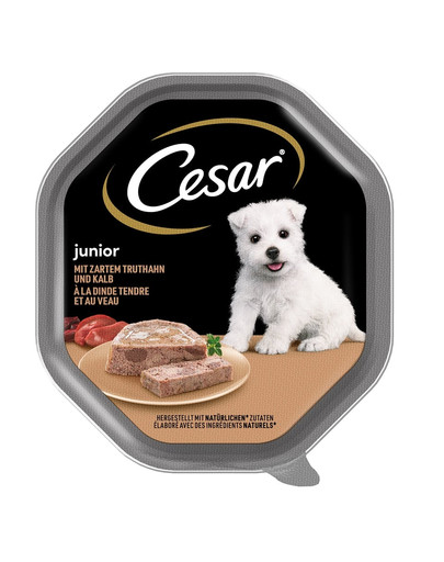 CESAR tacka 150 g mokra karma pełnoporcjowa dla dorosłych psów teryna