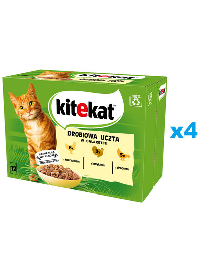 KITEKAT Mix smaków saszetki 48x85 g mokra karma pełnoporcjowa dla dorosłych kotów