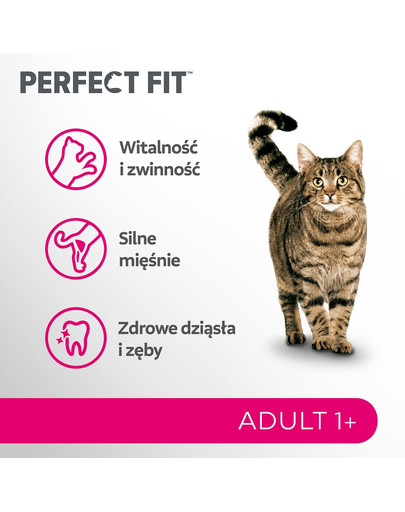 PERFECT FIT Adult 1+ 7 kg sucha karma pełnoporcjowa dla dorosłych kotów bogata w świeżego łososia