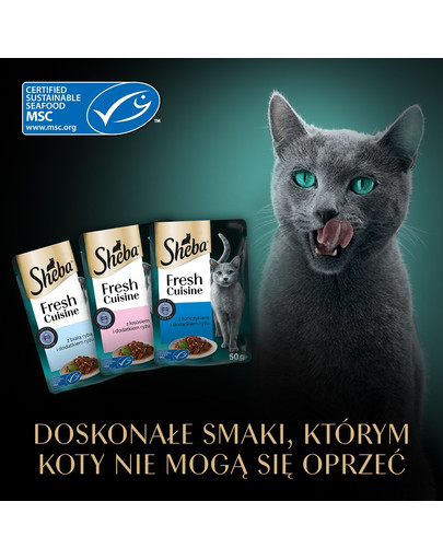 SHEBA Fresh Cuisine Taste of Tokyo saszetki 6x50g mokra karma pełnoporcjowa dla dorosłych kotów z tuńczykiem, z łososiem, z białą rybą i dodatkiem ryżu