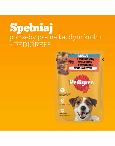 PEDIGREE Adult 100 g saszetka w galaretce dla dorosłych psów