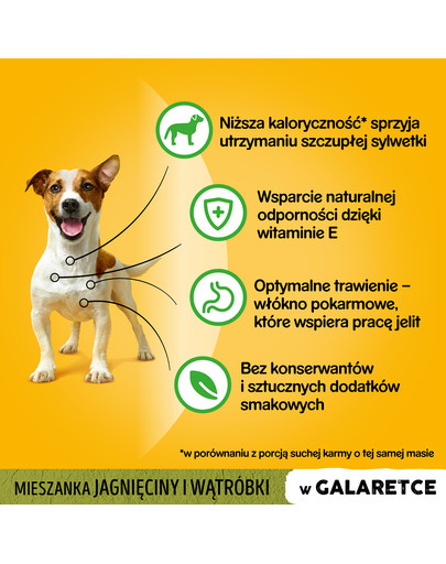 PEDIGREE Adult 100 g saszetka w galaretce dla dorosłych psów