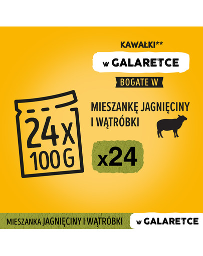 PEDIGREE Adult 100 g saszetka w galaretce dla dorosłych psów