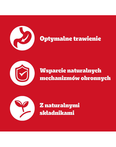 PEDIGREE Senior Wybór Smaków saszetki 12x100 g mokra karma pełnoporcjowa dla dorosłych psów z mieszanką wołowiny i wątróbki, z kurczakiem, z mieszanką jagnięciny i wątróbki, z drobiem w galaretce