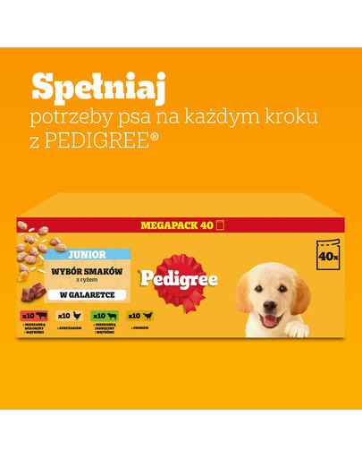 PEDIGREE Junior Wybór Smaków z ryżem saszetki 40x100 g mokra karma pełnoporcjowa dla szczeniąt kawałki z mieszanką wołowiny i wątróbki i ryżem, z kurczakiem i ryżem, z mieszanką jagnięciny i wątróbki i ryżem, z drobiem i ryżem w galaretce