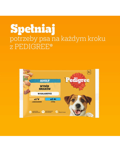 PEDIGREE Adult Wybór Smaków saszetki 4x100 g mokra karma pełnoporcjowa dla dorosłych psów z kurczakiem, z rybą w galaretce