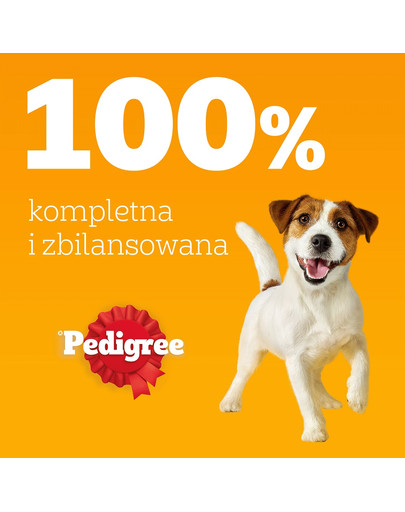 PEDIGREE Adult Wybór Smaków saszetki 12x100 g mokra karma pełnoporcjowa dla dorosłych psów z mieszanką wołowiny i wątróbki, z kurczakiem, z rybą, z drobiem w galaretce