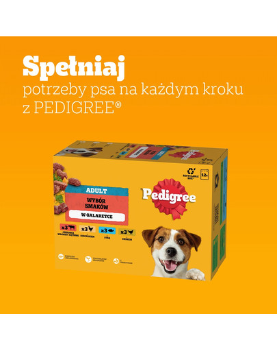 PEDIGREE Adult Wybór Smaków saszetki 12x100 g mokra karma pełnoporcjowa dla dorosłych psów z mieszanką wołowiny i wątróbki, z kurczakiem, z rybą, z drobiem w galaretce