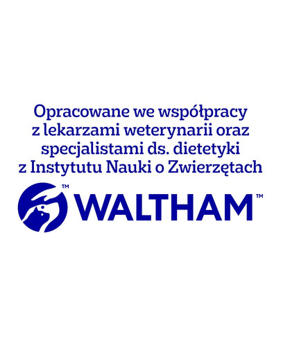 PEDIGREE Adult Wybór Smaków saszetki 40x100 g mokra karma pełnoporcjowa dla dorosłych psów, z mieszanką wołowiny i wątróbki, z kurczakiem, z rybą, z drobiem, w galaretce