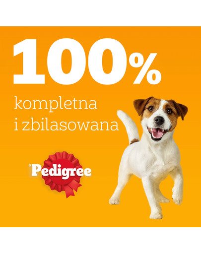 PEDIGREE Adult Wybór Smaków saszetki 40x100 g mokra karma pełnoporcjowa dla dorosłych psów, z mieszanką wołowiny i wątróbki, z kurczakiem, z rybą, z drobiem, w galaretce