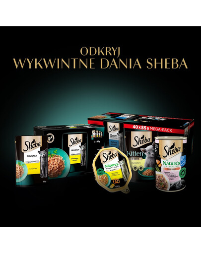 SHEBA Classics tacka 85 g w terynie z dziczyzną