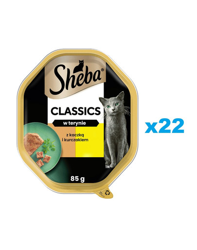 SHEBA Classics tacka 22x85 g mokra karma pełnoporcjowa dla dorosłych kotów w terynie
