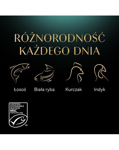 SHEBA Delicacy Fine Flakes saszetki 4x85 g mokra karma pełnoporcjowa dla dorosłych kotów w galaretce