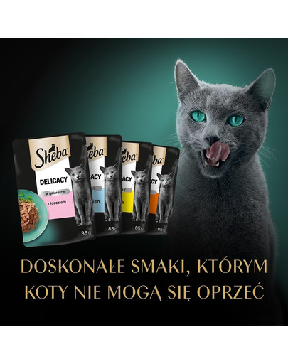 SHEBA Delicacy Fine Flakes saszetki 4x85 g mokra karma pełnoporcjowa dla dorosłych kotów w galaretce