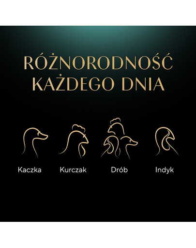 Delicacy Drobiowe smaki saszetki w galaretce 80x85g kaczka, kurczak, drób