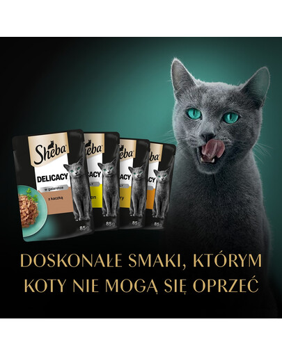 Delicacy Drobiowe smaki saszetki w galaretce 80x85g kaczka, kurczak, drób