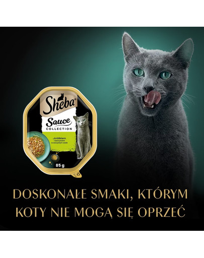 SHEBA Sauce Collection tacka 85 g w sosie kawałki z cielęciną