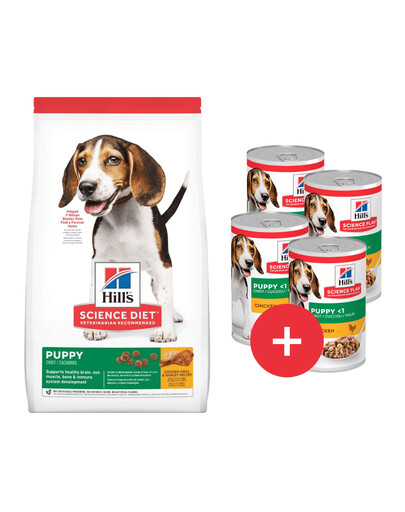 HILL'S Science Plan Puppy Medium breed sucha karma z kurczakiem 14 kg + 4 puszki GRATIS