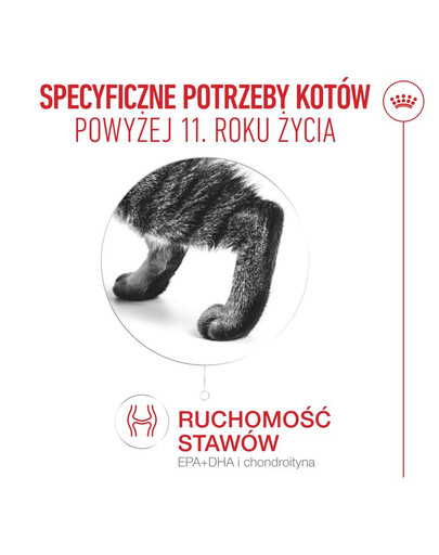 ROYAL CANIN Ageing 11+ 2 kg dla dojrzałych kotów po 11 roku życia