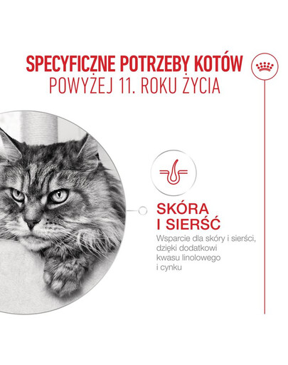 ROYAL CANIN Ageing 11+ 400 g dla dojrzałych kotów po 11 roku życia