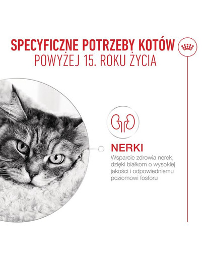 ROYAL CANIN Ageing 15+ 4 kg dla dojrzałych kotów w wieku od 15 lat