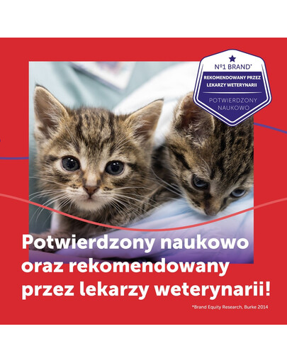 FELIWAY Friends 3 wkłady uzupełniający - feromony na konflikty między kotami