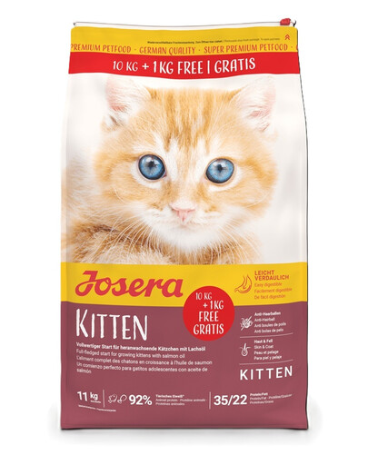 Kitten sucha karma dla kociąt i kotek ciężarnych lub karmiących 10 kg + 1kg gratis