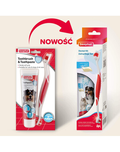 BEAPHAR Dental Kit szczoteczka i pasta do zębów dla psów i kotów