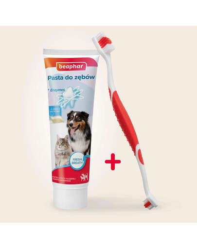 BEAPHAR Dental Kit szczoteczka i pasta do zębów dla psów i kotów