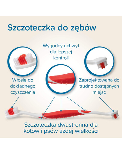 BEAPHAR Dental Kit szczoteczka i pasta do zębów dla psów i kotów