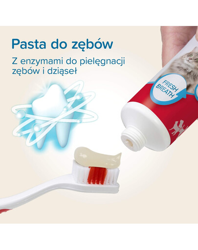 BEAPHAR Dental Kit szczoteczka i pasta do zębów dla psów i kotów
