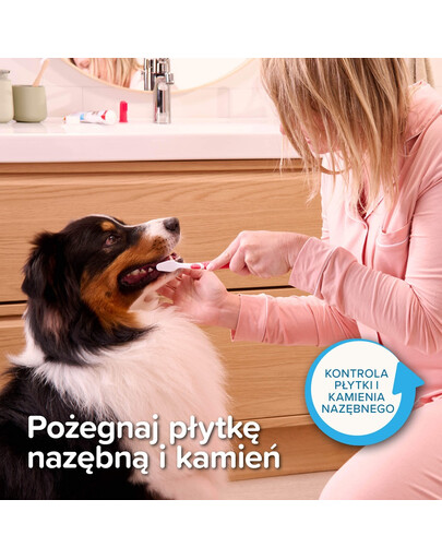 BEAPHAR Dental Kit szczoteczka i pasta do zębów dla psów i kotów