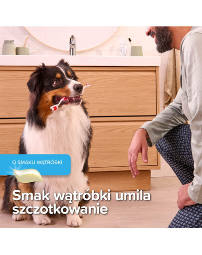 BEAPHAR Dental Kit szczoteczka i pasta do zębów dla psów i kotów