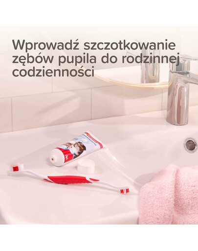 BEAPHAR Dental Kit szczoteczka i pasta do zębów dla psów i kotów