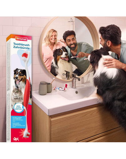 BEAPHAR Toothbrush Regular dwustronna szczoteczka do zębów dla psów i kotów