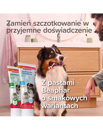 BEAPHAR Toothbrush Regular dwustronna szczoteczka do zębów dla psów i kotów