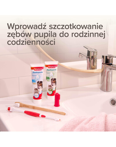 BEAPHAR Toothbrush Regular dwustronna szczoteczka do zębów dla psów i kotów