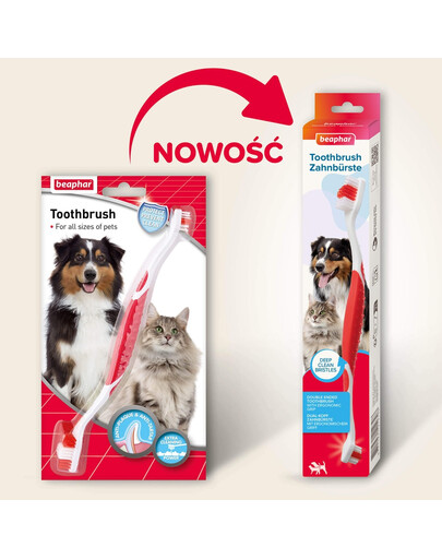 BEAPHAR Toothbrush Regular dwustronna szczoteczka do zębów dla psów i kotów