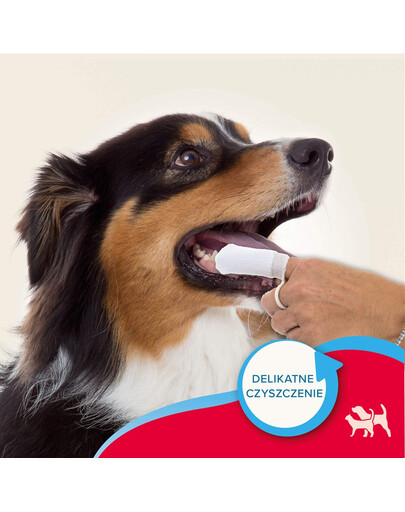 BEAPHAR Finger Pad Dental 2 szt. nakładki na palec do czyszczenia zębów dla psów i kotów