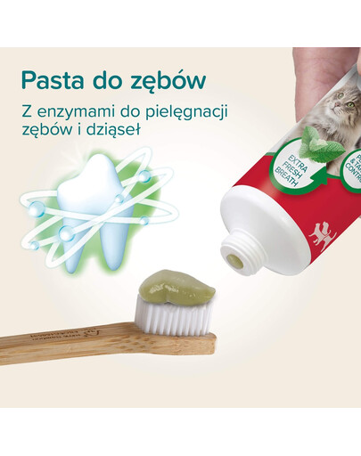 BEAPHAR Toothpaste Mint and Parsley 100 g pasta do zębów o smaku mięty i pietruszki dla psów i kotów