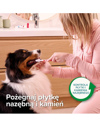 BEAPHAR Toothpaste Mint and Parsley 100 g pasta do zębów o smaku mięty i pietruszki dla psów i kotów